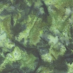 Hoffman Bali Batik Hand dyed Watercolors 1895 377 Spinach