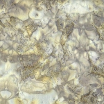 Hoffman Bali Batik Hand dyed Watercolors 1895 77 Sage