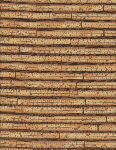 Timeless Treasures Rulers C4051 Natural