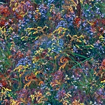 New Beginnings Digital 21494 Multi Wildflower 3 Wishes