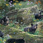 New Beginnings Digital 21497 Multi Bears 3 Wishes