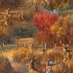 Whitetail Country 22202 Frolicking Deer 3 Wishes