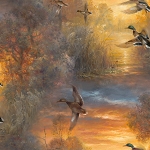 Whitetail Country 22204 Evening Soar 3 Wishes