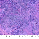 New Stonehenge Gradations 26757 88 Mystic Northcott
