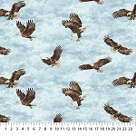 Eagle Pass Stonehenge 27675 42 Flying Eagles Northcott