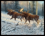 Moose Siblings Panel 44000 Black Elizabeths Studio