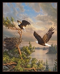 Coming Home Eagles 46001 36 Inch Digital Panel Elizabeth Studio