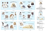 Animal Friends 7302 Blue 36 Inch Book Panel Elizabeth Studio