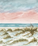 Point of View 8170 21 Sunrise Coastal Panel Studio E