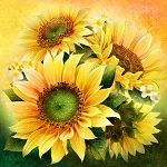 Oasis Minky 60 x 60 Sunflower Panel 846741