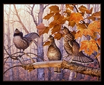 Out on a Limb 9208 Black Pheasant Panel Elizabeth Studio