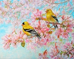 Spring Morning Songbirds AS00722C1 36 Inch Digital Panel David Textiles