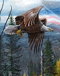 May Freedom Forever Fly BW00214C1 36 Inch Digital Panel David Textiles