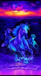 Midnight Run CD1428 Blue Horse Panel Timeless Treasures