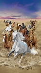 Running Horses CD3482 24 Inch Panel Timeless Treasures
