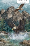 Eagle Pass Stonehenge DP27670 44 Digital Panel Northcott