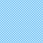 Playtime Flannel Basics F10691 B Bias Gingham Maywood Studio