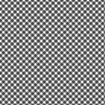 Playtime Flannel Basics F10691 J Bias Gingham Maywood Studio