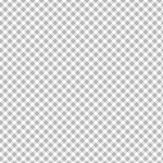 Playtime Flannel Basics F10691 K Bias Gingham Maywood Studio