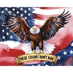 America 250 Years Panel 87125C Colorful Eagle Panel 36 Inch Wide David Textiles