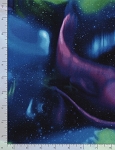 Northern Lights CD2685 Night Sky Timeless Treasures