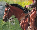 Ride the Range PD12746 Cowboy Horses 36 Inch Digital Panel Riley Blake