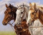 Ride the Range PD12747 Three Horses 36 Inch Digital Panel Riley Blake