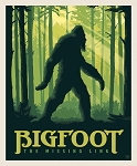 National Parks Digital Panel PD15063 Bigfoot 36 x 44 Riley Blake