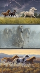 Wild Horses PD15533 Pillow 3 Row Tall Digital Panel 24 x 43 Inch Riley Blake