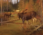Majestic in Nature Intruder PD15982 36 Inch Digital Panel Riley Blake