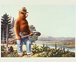 Friends of Smokey Bear PD16507 35 x 43 Digital Panel Riley Blake