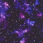 Galactic Garden 24289 181 Onyx Space Robert Kaufman