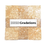New Stonehenge Gradations Canyon 37 10 Inch Layer Cake Tile Square Northcott