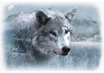 Call of the Wild V5212 113 Wolf Digital Panel Hoffman