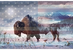 American Wild V5217 209 Buffalo Digital Panel Hoffman