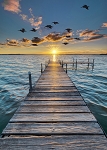 Call of the Wild W5421 151 Sunset Dock Digital Panel Hoffman