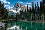 Call of the Wild W5513 D21 Scenic Digital Panel Hoffman
