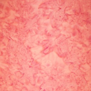 Hoffman Bali Batik Hand dyed Watercolors 1895 482 Cotton Candy 