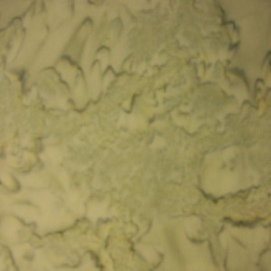 Hoffman Bali Batik Hand dyed Watercolors 1895 483 Fog 