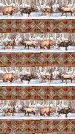 Winter Frost 20878 224 Border Print Repeat, Northcott 
