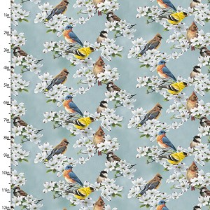 New Beginnings Digital 21498 Blue Birds 3 Wishes 