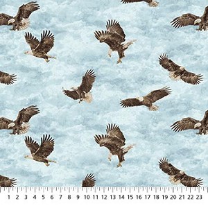 Eagle Pass Stonehenge 27675 42 Flying Eagles Northcott 