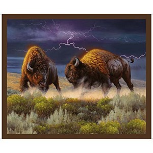 Minky Bison Panel 30027 X Quilting Treasures 