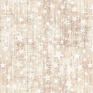 American Country 31997 E Taupe Stars Quilting Treasures 