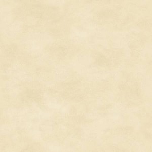 Maywood Studio Woven Shadowplay 513 E4 Cream Tonal 