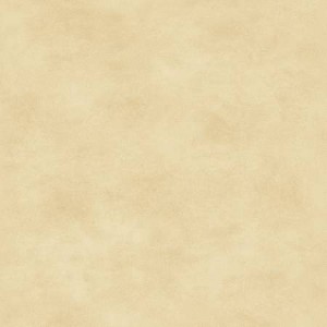 Maywood Studio Woven Shadowplay 513 E5 Cream Tonal 