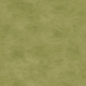 Maywood Studio Woven Shadowplay 513 GG Light Green Tonal 