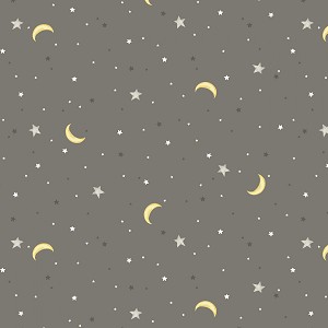 Sweet Dreams Flannel 53874F 6 Grey Moon Stars Windham 