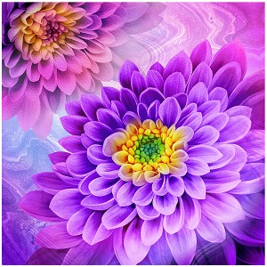 Dahlia Dazzle 585013 Purple 59 Inch Digital Panel Oasis 
