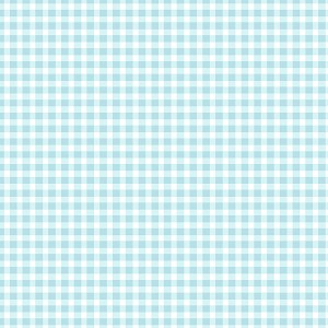 All Minnesota Shop Hop 2026 Gingham 610 BQ Maywood Studio 